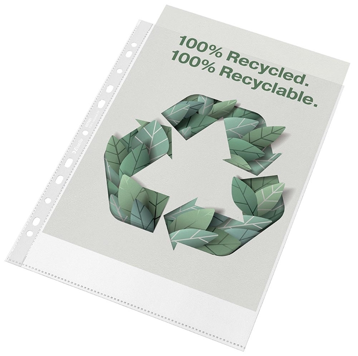 Esselte Lomme, 100my recyklovaný PP, vyražený, A4 (50)