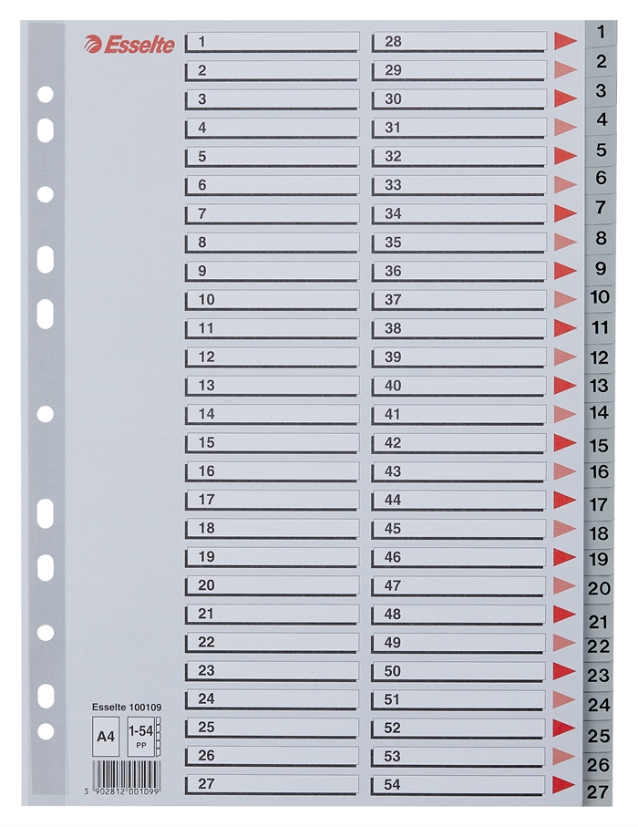 Esselte Register PP A4 1-54 šedé