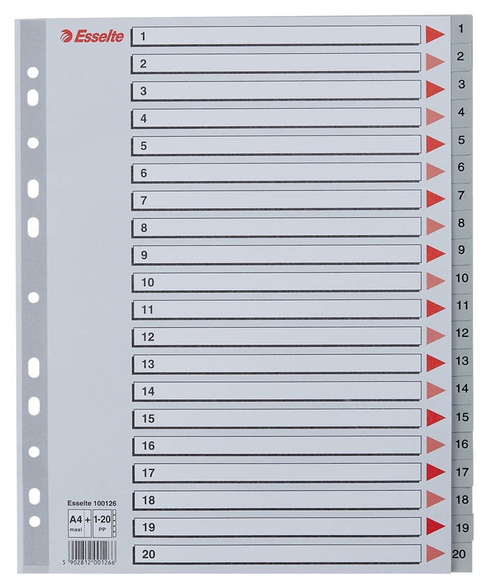 Esselte Registr PP A4 maxi 1-20 šedá